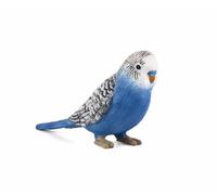 Planète Animale Mojo Perruche Bleue