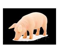 Planète Animale Mojo Pig