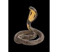 Planète Animale Mojo Roi Cobra