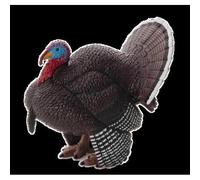 Planète Animale Mojo Turquie