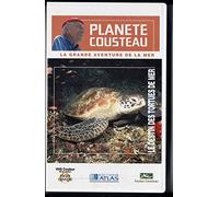 PLANÈTE COUSTEAU: LE DESTIN DES TORTUES DE MER