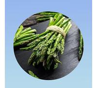 Planète graines - graines asperge verte sachet de 1 gramme soit environ 50 graines