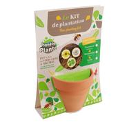 PLANÈTE PLANTE - Pot Terre Cuite et Graine À Planter - Kit de Jardinage - 170071 - Terre Cuite - Jardin - Nature - Plante - Fleurs - Jardinage
