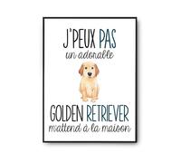 Planetee Affiche J'peux pas Golden Retriever| Poster animaux Tableau Humour pour décoration murale qualité papier Premium A4