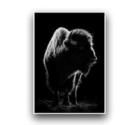 Planetee Affiche Minimaliste Bison Capturé en Silhouette Noir et Blanc Décoration murale intérieur Poster A3