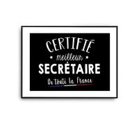 Planetee Affiche Secrétaire Homme Meilleur de France Métier | Poster Tableau Métier Humour pour décoration murale qualité papier Premium A4
