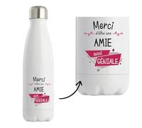 Planetee Bouteille isotherme Amie géniale - Gourde Réutilisable Cadeau Famille/Amis