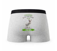 Planetee Caleçon Ce Designer Têtu comme Un Âne - Humour Boxer Gris Idée Cadeau - Taille L