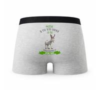 Planetee Caleçon Moise Têtu comme Un Âne - Humour Boxer Gris Idée Cadeau - Taille XL