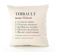 Planetee Housse de Coussin Premium Thibault Définition - Coton Canvas Fairtrade Beige Idée Cadeau Décoration Canapé 40x40