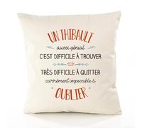 Planetee Housse de Coussin Premium Un Thibault Aussi génial - Coton Canvas Fairtrade Beige Idée Cadeau Décoration Canapé 40x40