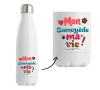 Planetee Mon Samoyède ma vie