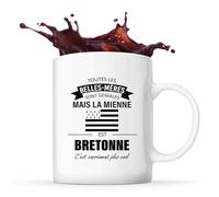 Planetee Mug Belle-Mère Bretonne | Tasse Originale Cadeau Anniversaire Noël Humour fête des mères
