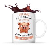 Planetee Mug Ce Papou Caractère de Cochon | Tasse Fête des Pères Prénom Cadeau Anniversaire Noël Humour
