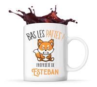 Planetee Mug Esteban Bas les pattes Renard | Tasse Originale Cadeau Anniversaire Noël Humour fête des pères