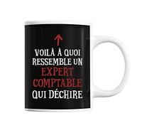 Planetee Mug Expert Comptable Qui déchire | Tasse café métier pour collègue de travail ami ou famille | Imprimé en France