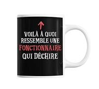 Planetee Mug Fonctionnaire Qui déchire | Tasse café métier pour collègue de travail ami ou famille | Imprimé en France