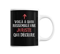 Planetee Mug Juriste Qui déchire | Tasse café métier pour collègue de travail ami ou famille | Imprimé en France