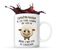 Planetee Mug Le maître-nageur Doux comme un Agneau | Tasse Métier Collègue Cadeau Travail Boulot Départ Retraite