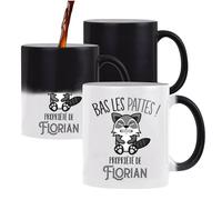 Planetee Mug magique Florian Bas les pattes Raton laveur | Tasse qui change de couleur Originale Cadeau Anniversaire Noël Humour fête des pères