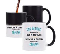 Planetee Mug magique Formidable Nounou | Idée Tasse Cadeau Travail Boulot Métier Départ Retraite Collègue