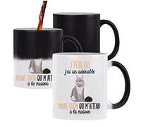 Planetee Mug magique J'peux pas Maine Coon | Tasse change de couleur avec la chaleur