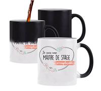 Planetee Mug magique Maitre de stage Irremplaçable | Idée Tasse Cadeau Travail Boulot Métier Départ Retraite Collègue Femme Anniversaire Noël