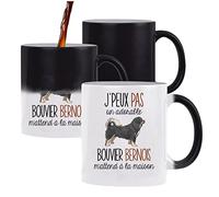 Planetee Mug magique thermoréactif Amour Boxer tasse change couleur chaleur idée cadeau métier anniversaire Noël