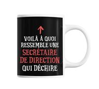 Planetee Mug Secrétaire de Direction Qui déchire | Tasse café métier pour collègue de travail ami ou famille | Imprimé en France