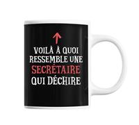 Planetee Mug Secrétaire Qui déchire | Tasse café métier pour collègue de travail ami ou famille | Imprimé en France