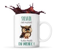 Planetee Mug Sylvain Le plus Chouette | Tasse Prénom Cadeau Anniversaire Noël Humour