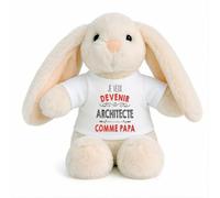 Planetee Peluche Lapin Bébé Doudou Je Veux Devenir Architecte comme Papa Cadeau Naissance Nouveau-Né Baby Shower