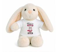 Planetee Peluche Lapin Bébé Doudou Victoire Humour Changez Couches Cadeau Naissance Nouveau-Né Baby Shower