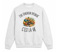 Planetee Sweat Gris Chiné Être éducateur spécialisé C'est la Vie | Molleton Gratté 260 g/m² Col Rond Unisexe XS à 5XL | Pull Sweatshirt Hiver Quotidien