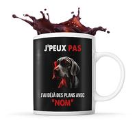 Planetee Tasse Braque de Weimar Cool Lunette de soleil Prénom Nom Personnalisable | Mug Café Thé Idée Cadeau Personnalisé Homme Femme Original pour propriétaire de chien