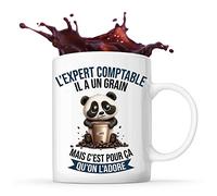 Planetee Tasse L'Expert Comptable Panda Café | Idée Mug Cadeau Travail Métier Humour Collègue Homme Anniversaire Noël