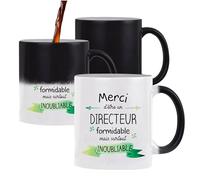 Planetee Tasse Magique Directeur Inoubliable Homme | Mug qui change couleur avec la chaleur | Idée Cadeau Collègue Travail Retraite