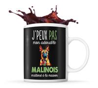 Planetee Tasse Malinois Adorable m'attend à la maison Prénom Nom Personnalisable | Mug Café Thé Idée Cadeau Personnalisé Homme Femme Original pour propriétaire de chien