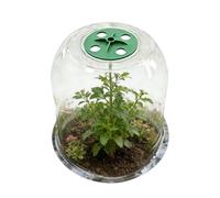 Plant Covers Freeze Protection transparente pour en forme de fleur