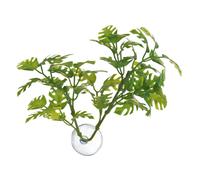 Zoo Med Betta Plante Window Leaf pour Reptile/Amphibien Multicolore 26311 Taille Unique
