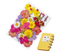 Plant Stickers - Dried Flower Stickers | Botanical Stickers | 35PCS Botanical Plant Stickers For Journaling, Scrapbook Stickers, Plant Stickers For Journaling, Scrapbook - Journaling Stickers