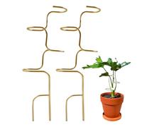 Plant Support Stakes - 2PCS Flower Climbing Holder Set, Durable Indoor Outdoor Plant Training Frame System, Stable Growth Guiding Rods for Upright Support, Strong Rust Resistant Build Garden Accessory