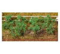 Plant Tomates 18 Pieces Ho