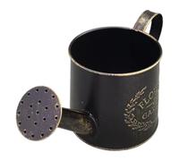 Plant Watering Can with A Long Spout and Handle Offers Precise Irrigation