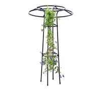 Plantas Rank Grille - Aide de rang de plante d'obélisque de jardin, grille de plage de jardin en métal | Aide à l'escalade pour fleurs, design en forme de parapluie comme aide végétale pour parterres
