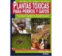 Plantas tóxicas para perros y gatos