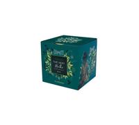 PLANTASIA-Thé vert à la menthe bio 24 sachets en boite cube métal