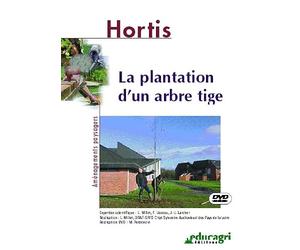 Plantation d'un Arbre Tige