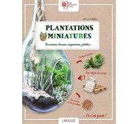 Plantations miniatures: Terrariums, bocaux, suspensions, palettes...