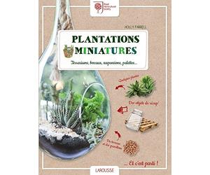 Plantations miniatures: Terrariums, bocaux, suspensions, palettes...